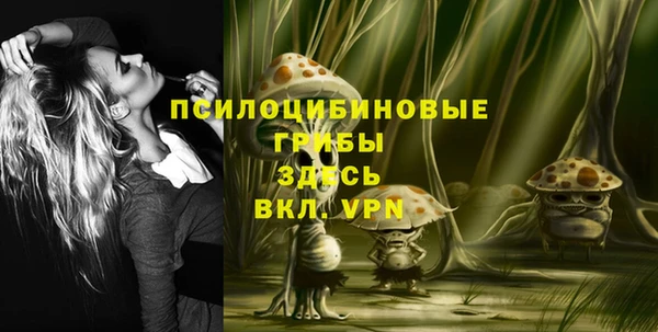 спиды Алексин