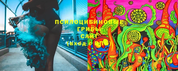 дмт Алексеевка