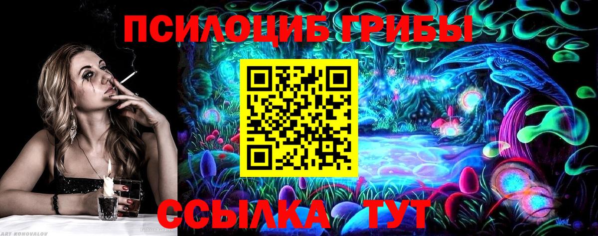 Галлюциногенные грибы Psilocybine cubensis Лесной